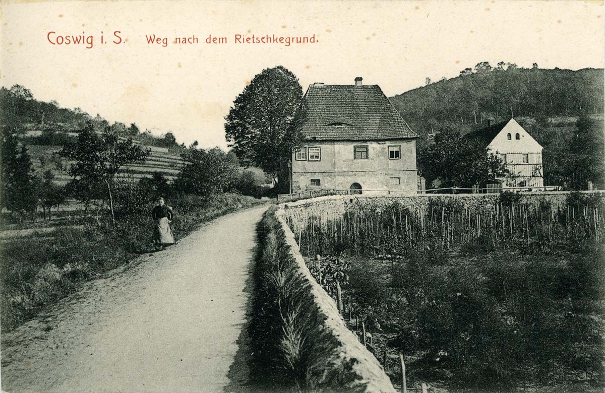 Coswig (Sachsen). Weg nach dem Rietzschkegrund, 1908