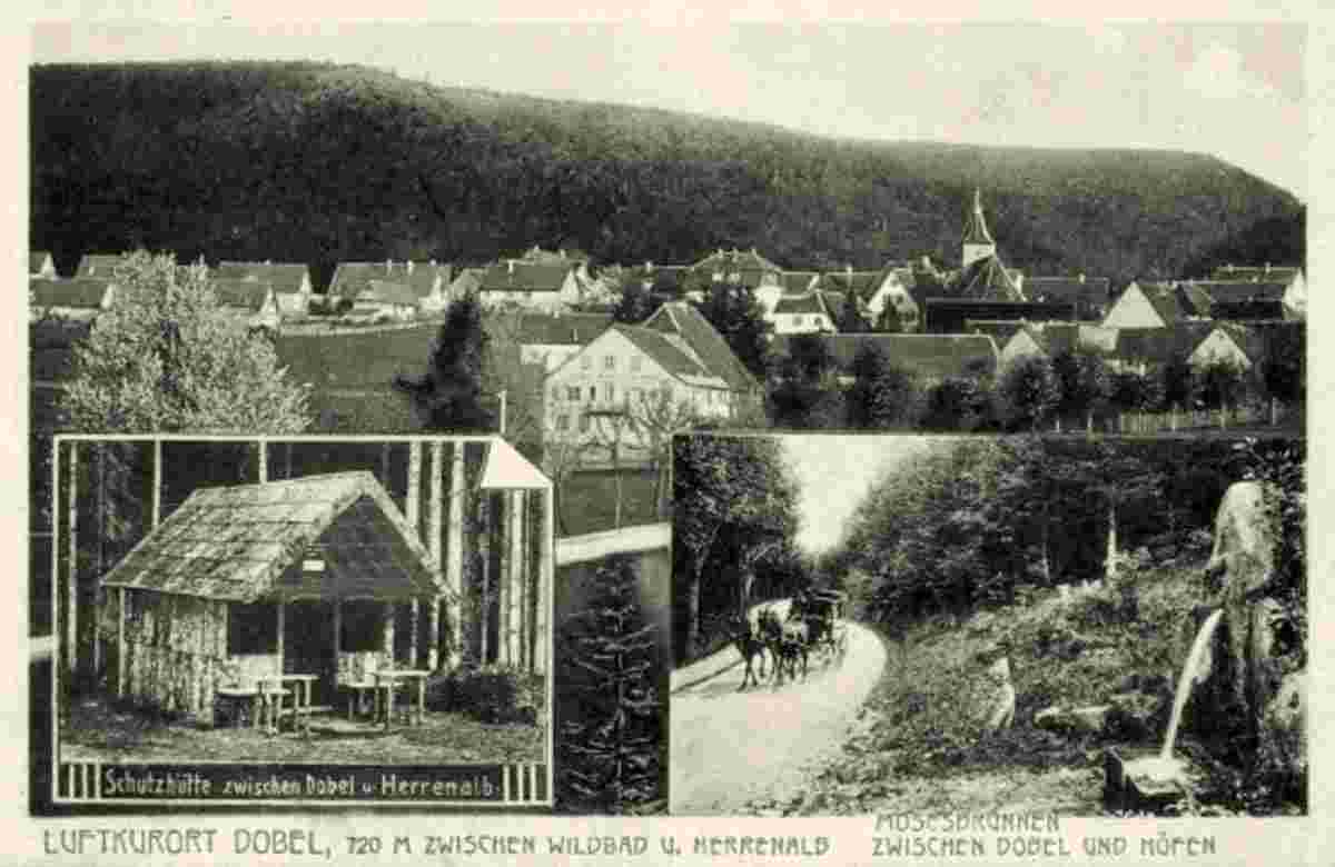 Panorama von Dobel, Schutzhütte, Mosesbrunnen, 1911
