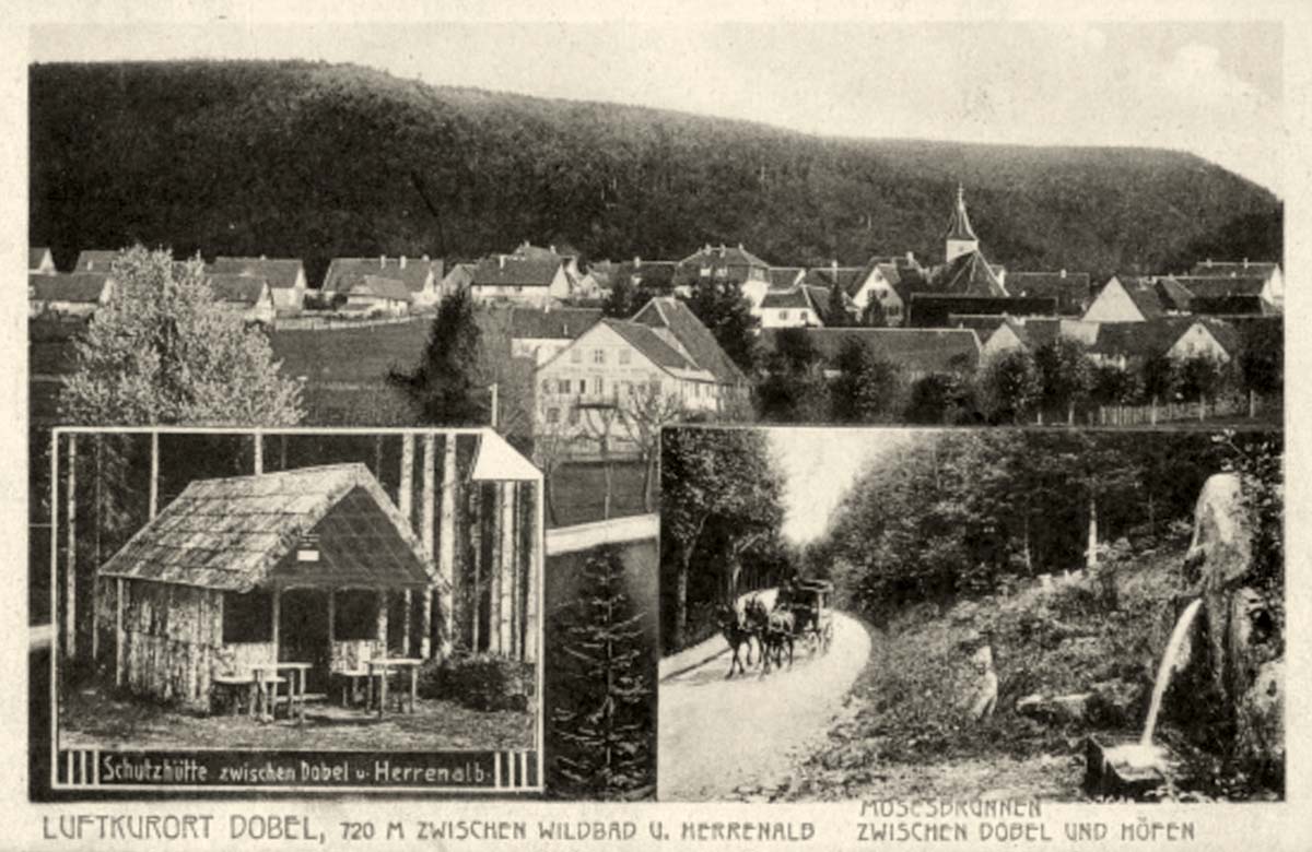 Dobel. Panorama von Dobel, Schutzhütte, Mosesbrunnen, 1911
