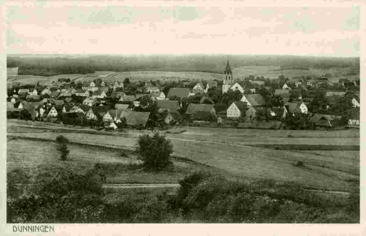 Panorama von Dunningen