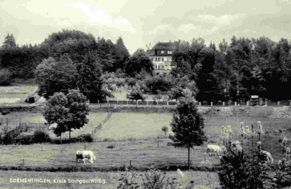 Dürmentingen. Panorama von Dürmentingen, 1962
