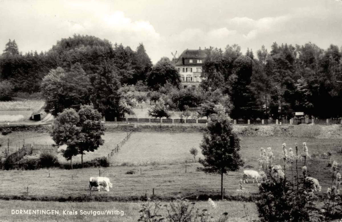 Panorama von Dürmentingen, 1962
