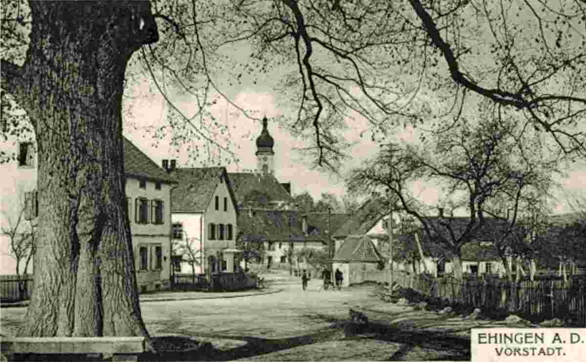 Ehingen. Panorama von Vorstadt - Straße mit Baum, 1900
