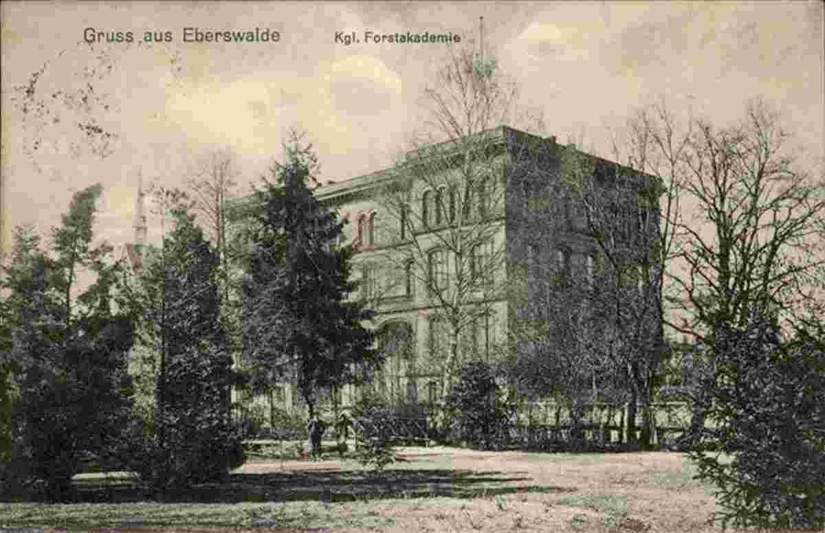 Eberswalde. Königliche Forstakademie