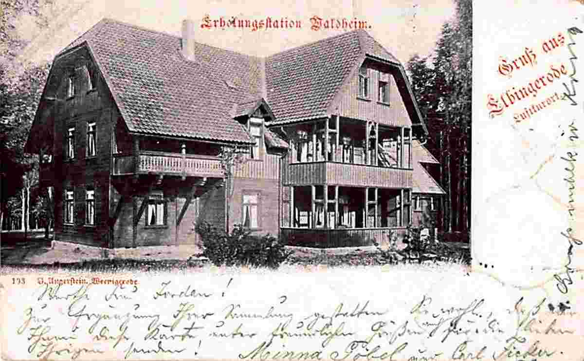 Elbingerode. Erholungsstation Waldheim, 1899