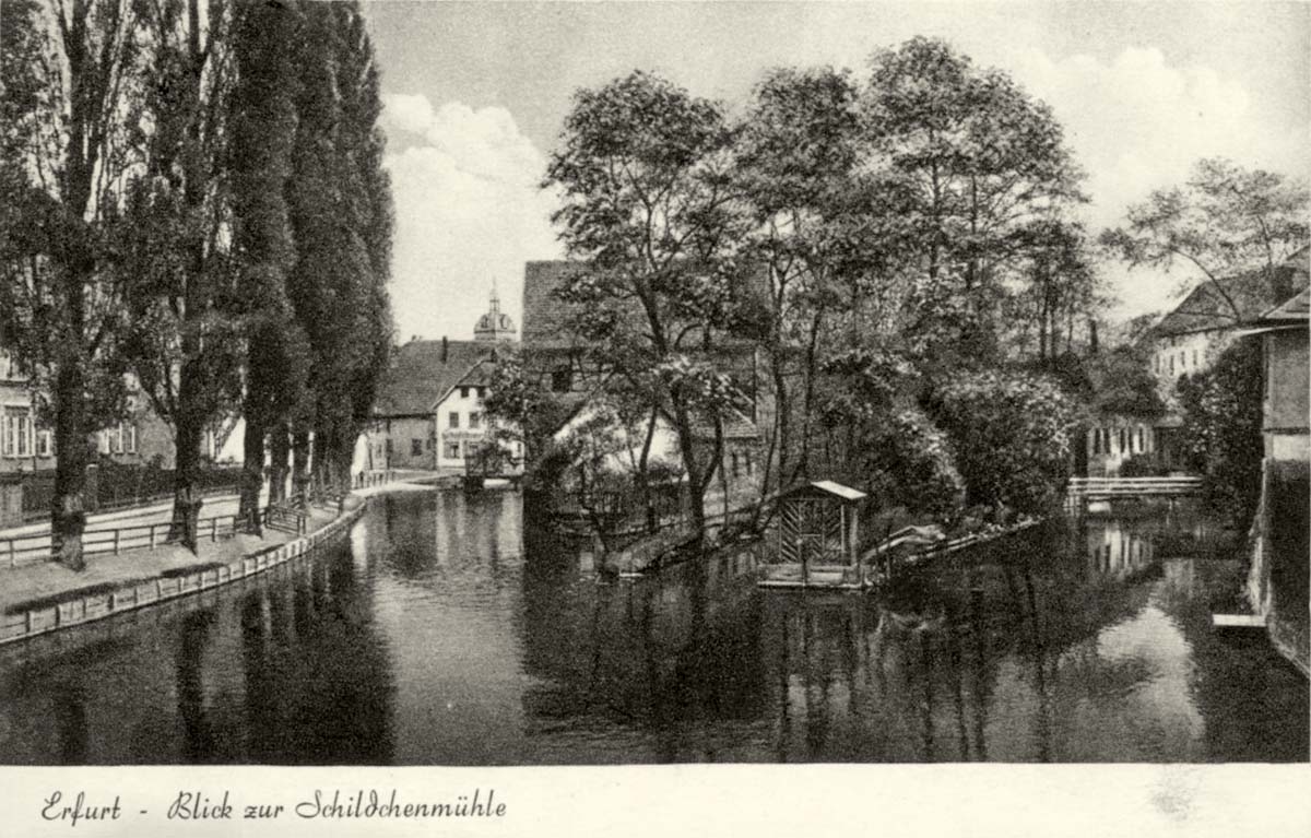 Erfurt. Blick zur Schildchenmühle, 1938