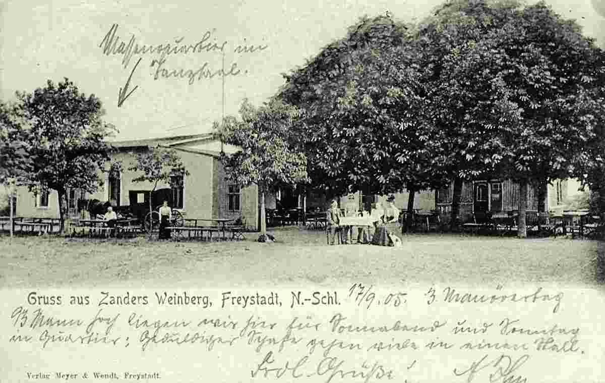 Freystadt. Zandler Weinberg, 1905