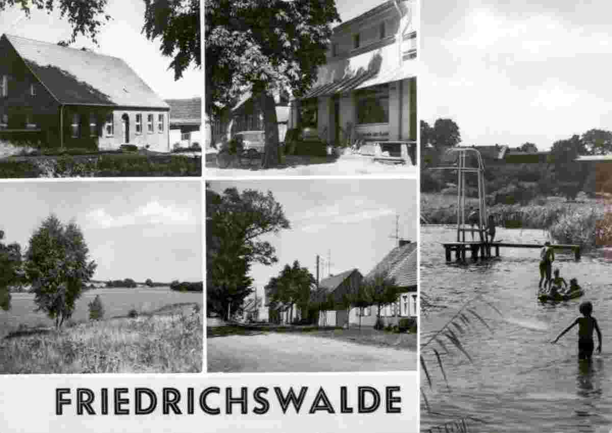 Friedrichswalde. Blick auf dorf