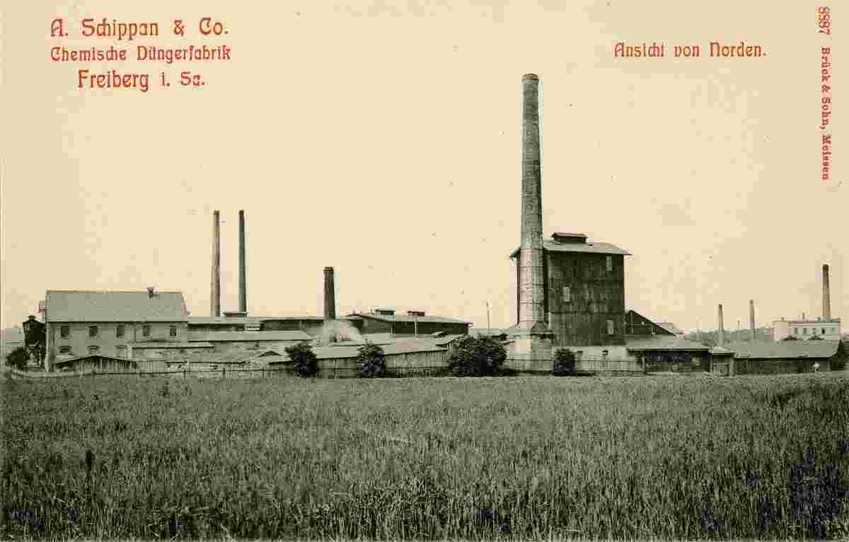 Freiberg. Chemische Düngerfabrik Schippan von Norden, 1907