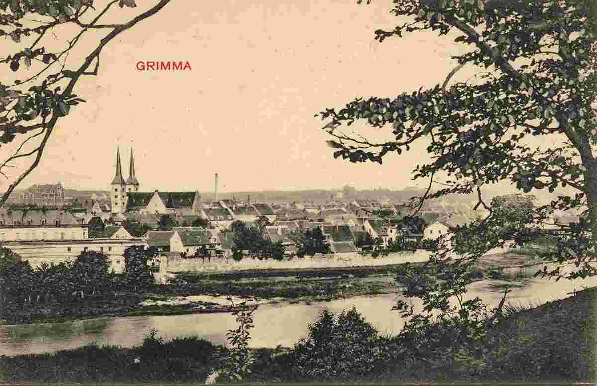 Grimma. Panorama der Stadt, 1919