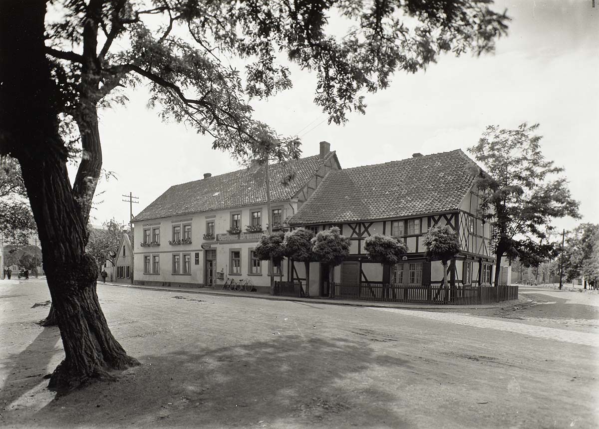 Gernrode (Harz). Brauner Hirsch, um 1935