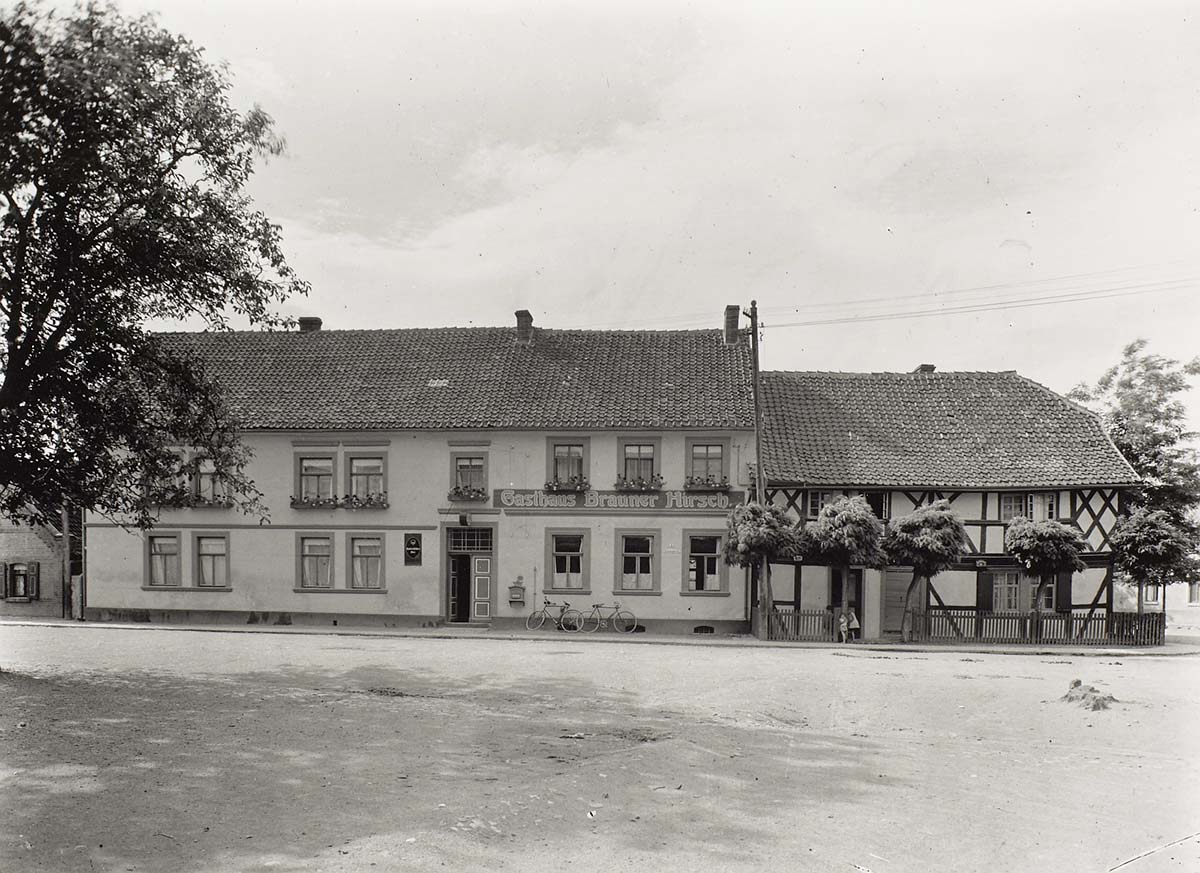 Gernrode (Harz). Brauner Hirsch, um 1935