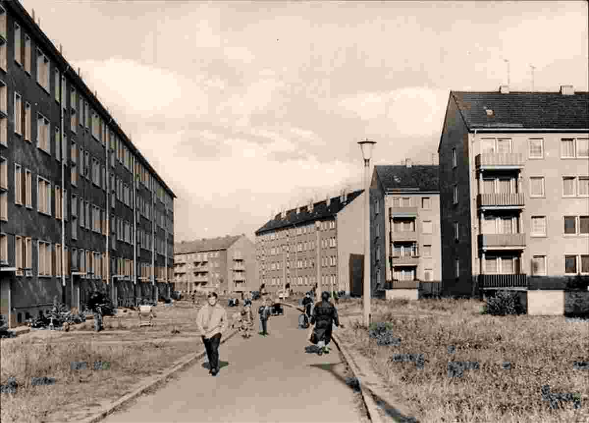 Gommern. Zum Holländer, 1965