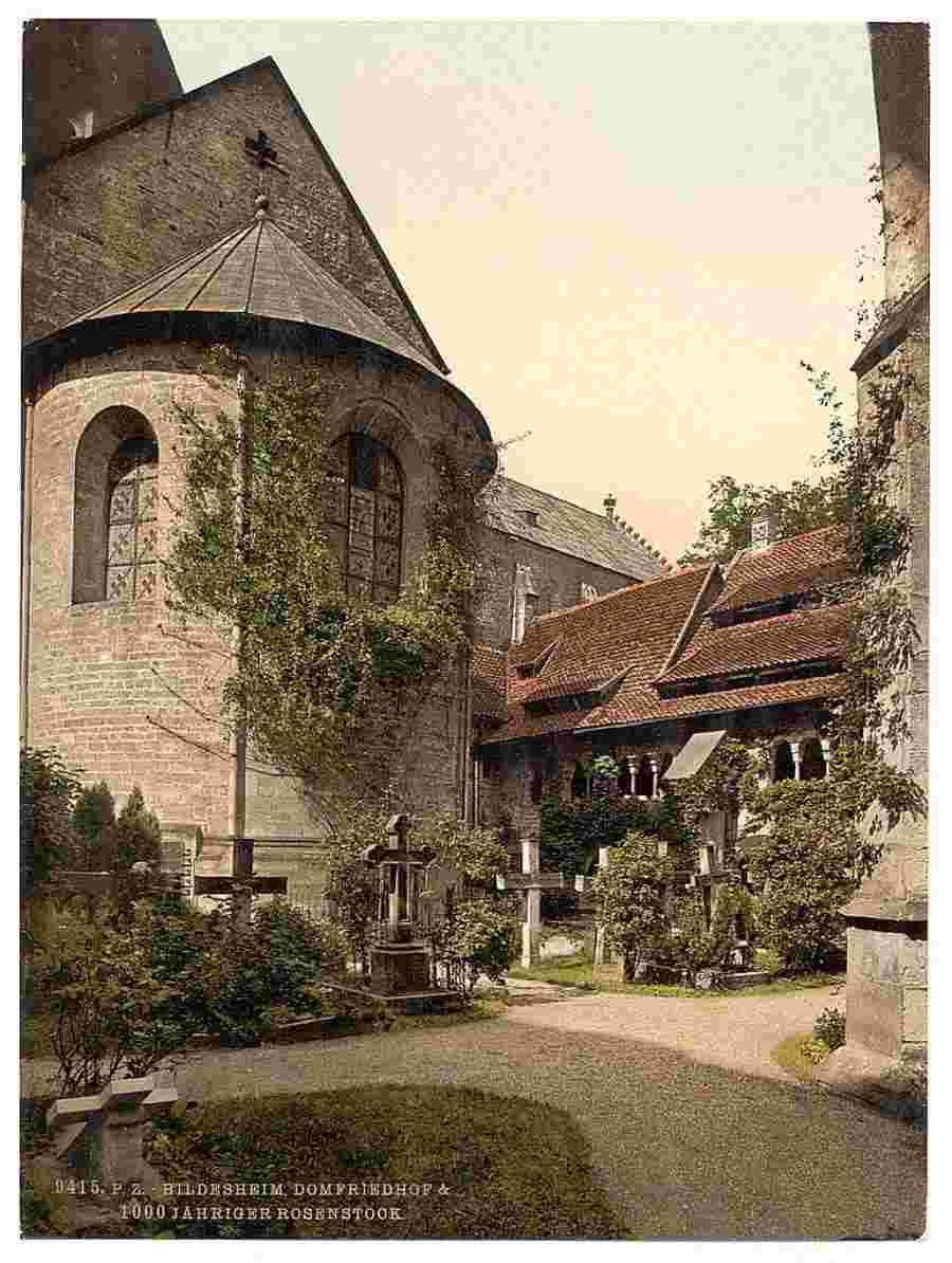 Hildesheim. Kathedrale, Kirchhof und 1000 Jahre alten Rosenbaum