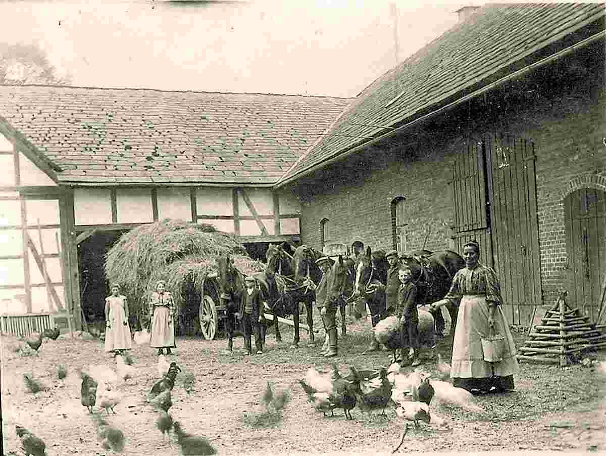 Holzminden. Bauernhof, 1909
