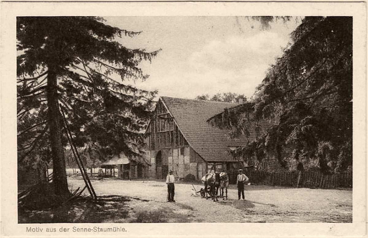 Hövelhof. Bezirk von Senne, Staumühle, 1916