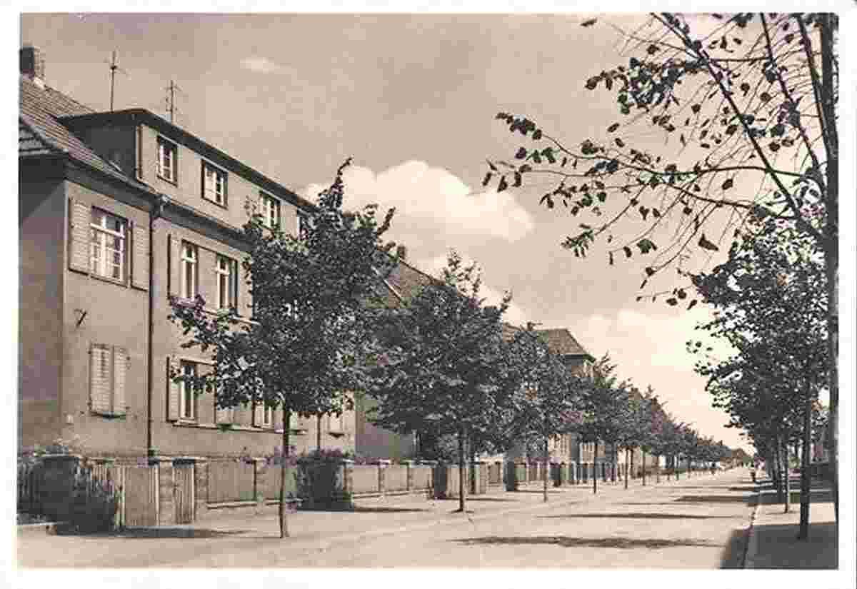 Haldensleben. Karl Marx Straße, 1964
