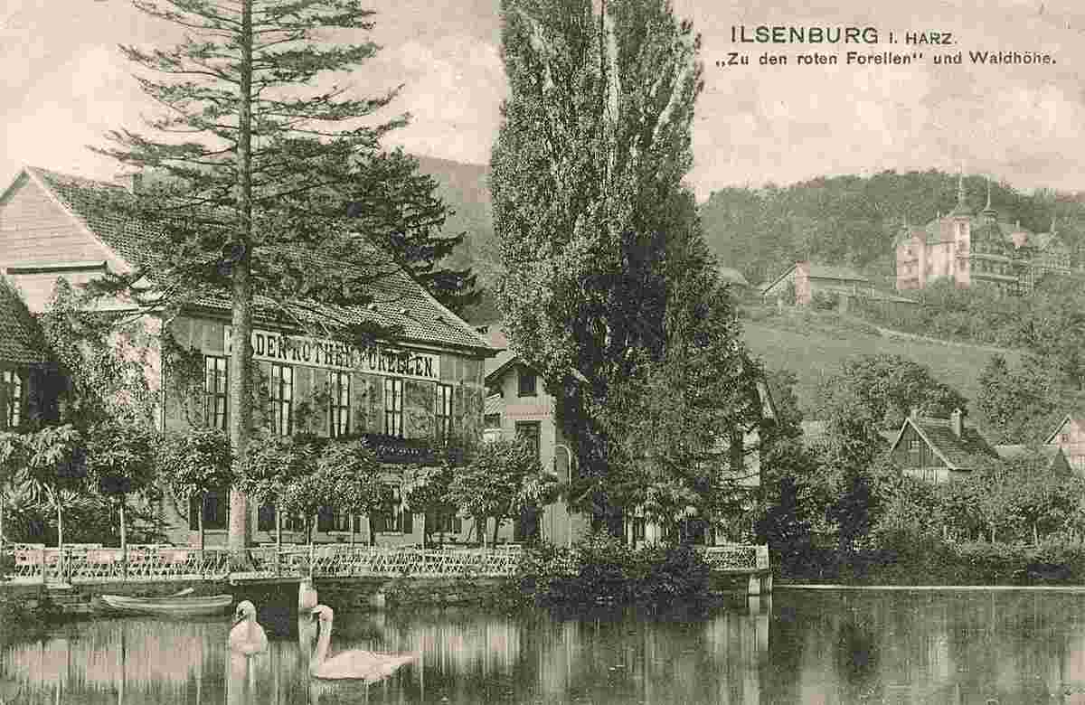 Ilsenburg. Hotel 'Zu den roten Forellen' und Waldhöhe, um 1900