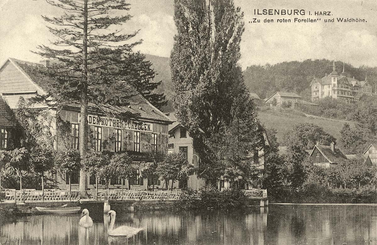 Ilsenburg (Harz). Hotel 'Zu den roten Forellen' und Waldhöhe, um 1900