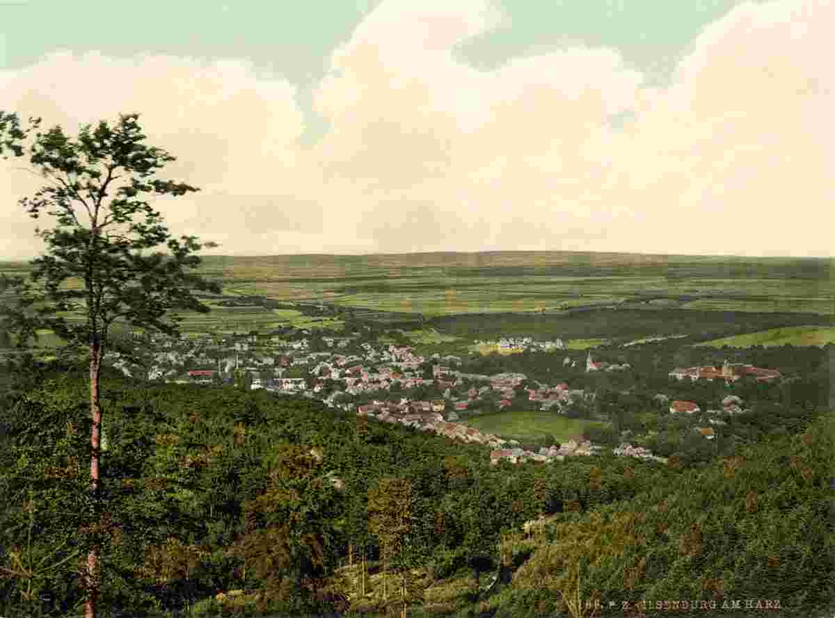 Panorama von Ilsenburg am Harz
