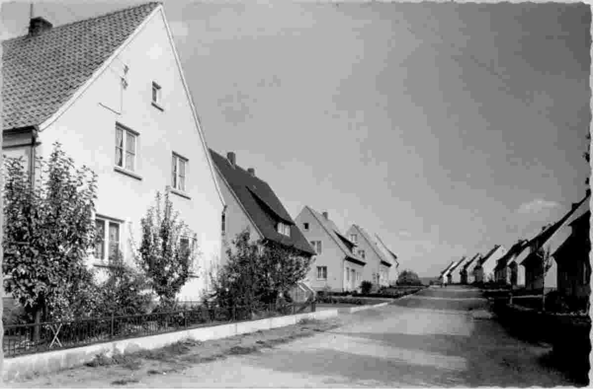 Kalletal. Langenholzhausen - Neue Siedlung, 1959