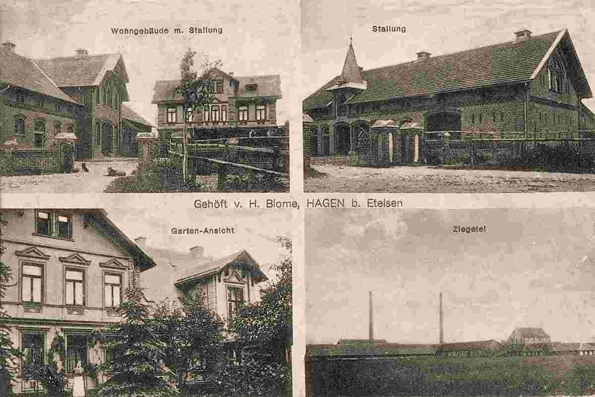 Langwedel. Hagen-Grinden - Wohngebäude, Stallung, Garten, Ziegelei