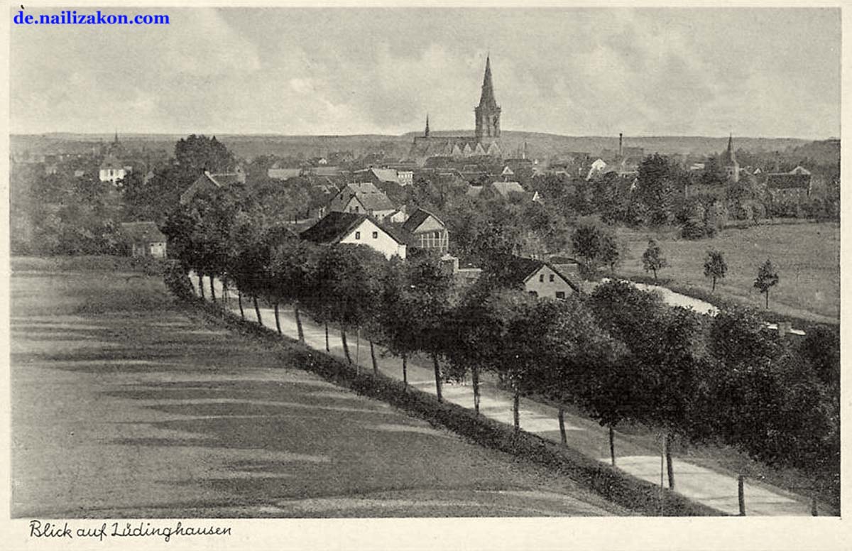 Lüdinghausen. Panorama der Stadt
