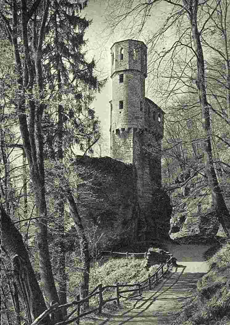 Neckarsteinach. Burg Schwalbennest