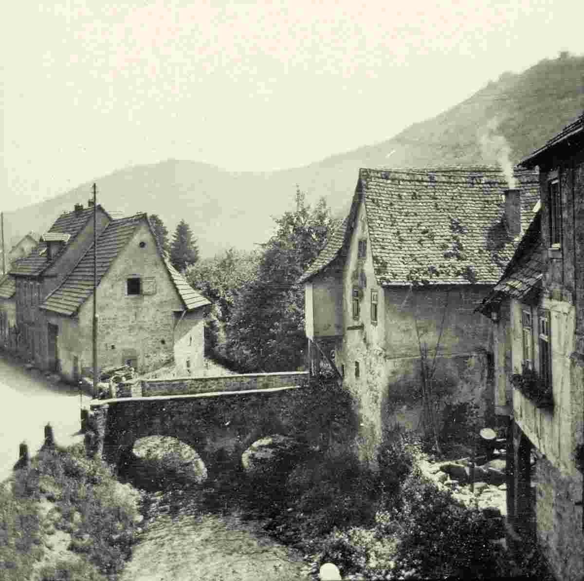 Neckarsteinach. Panorama der Stadt, 1907