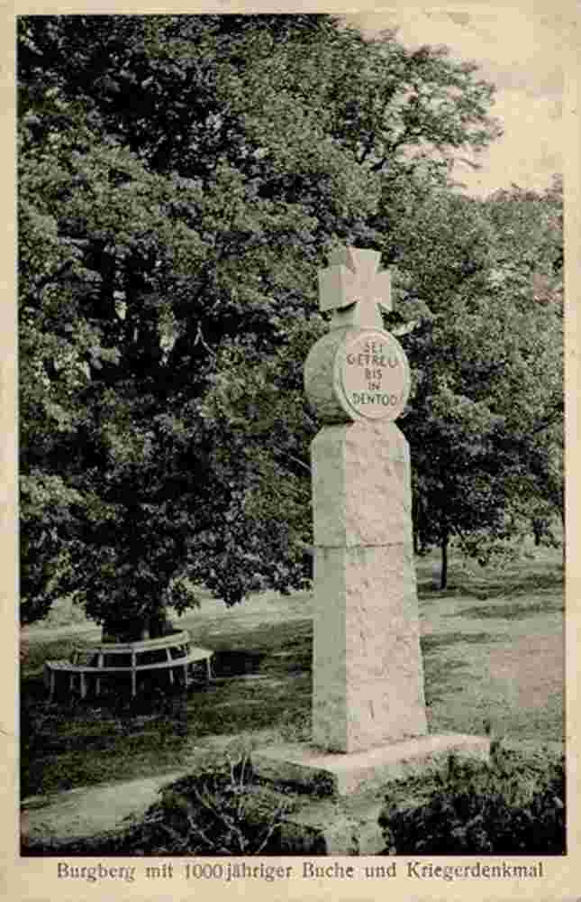 Nordharz. Stapelburg - Burgberg mit 1000-jähriger Buche Kriegerdenkmal