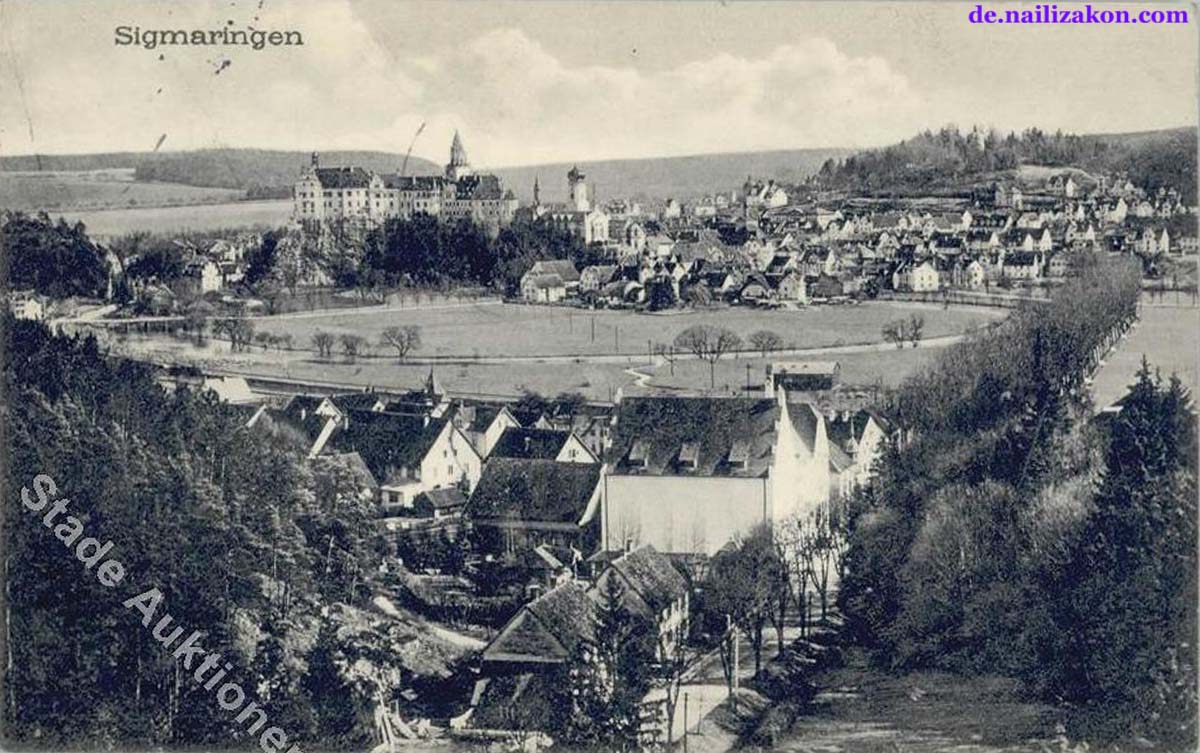 Sigmaringen. Panorama der Stadt