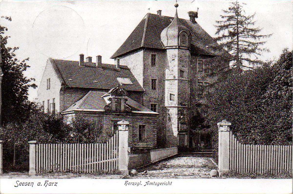Seesen. Herzogliche Amtsgericht, 1908
