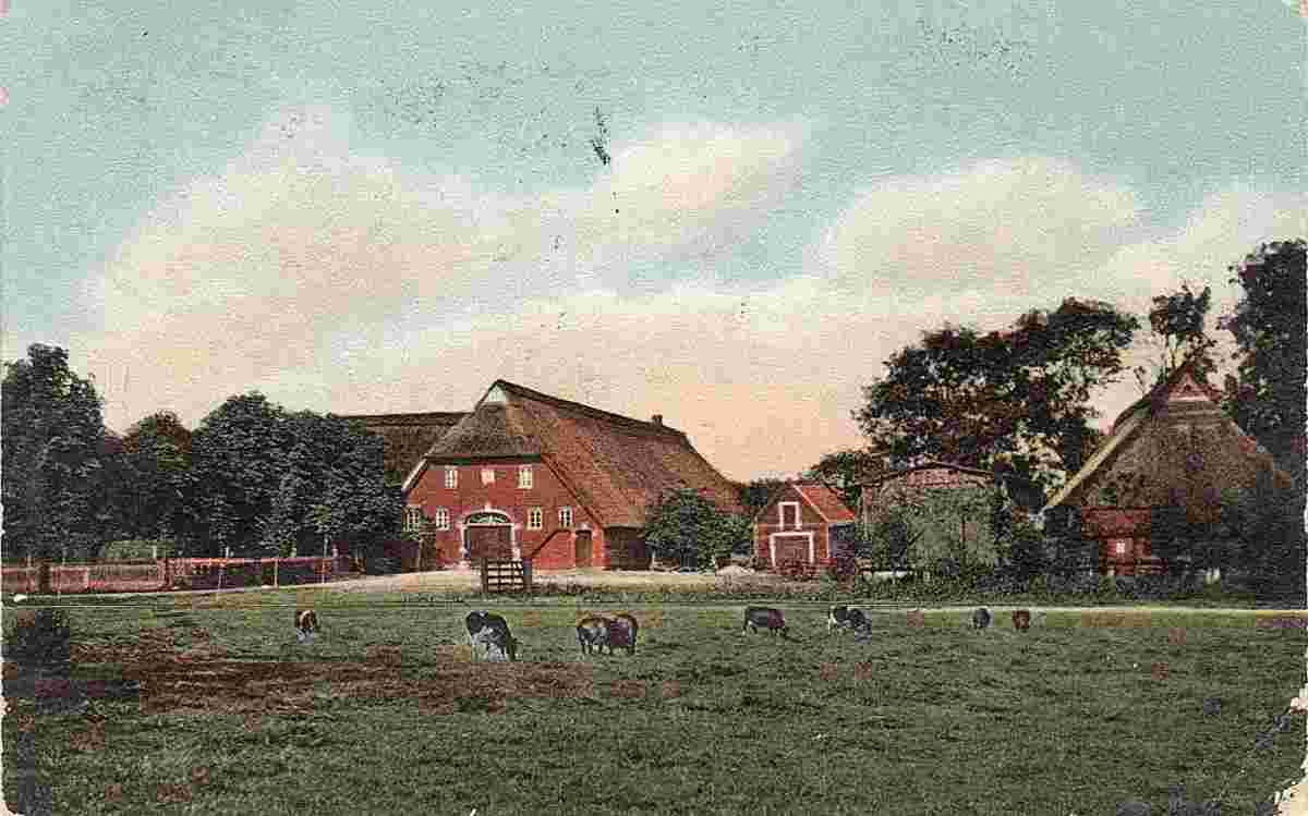Südbrookmerland. Moorriemer Bauerngehöft, 1911