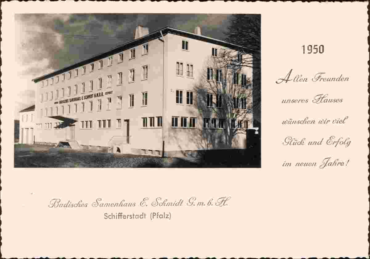Schifferstadt. Badisches Samenhaus E. Schmidt GmbH, 1950
