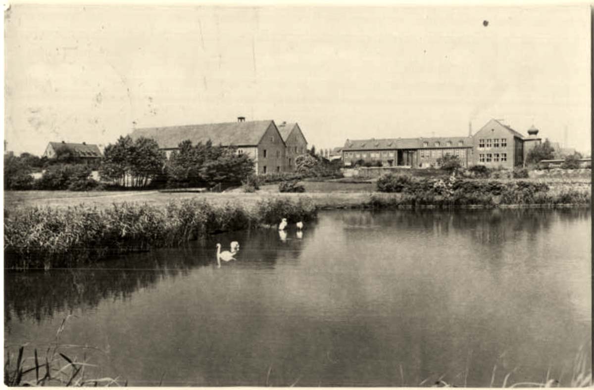 Schkopau. Kinderkrippe des VEB Buna-Werke und Teich mit Gänsen, 1963