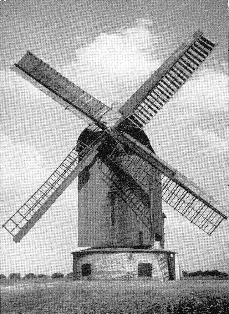 Sülzetal. Altenweddingen - Windmühle, vor 1945