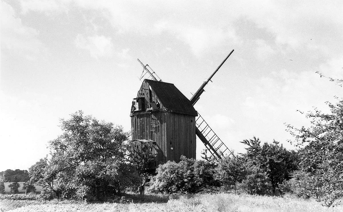 Sülzetal. Osterweddingen - Windmühle, 1973