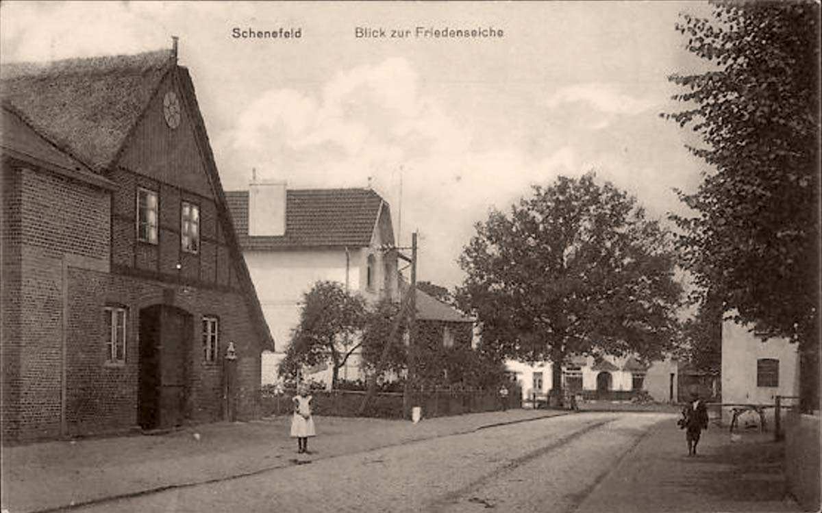 Schenefeld (Pinneberg). Blick zur Friedenseiche, Kinder, 1914
