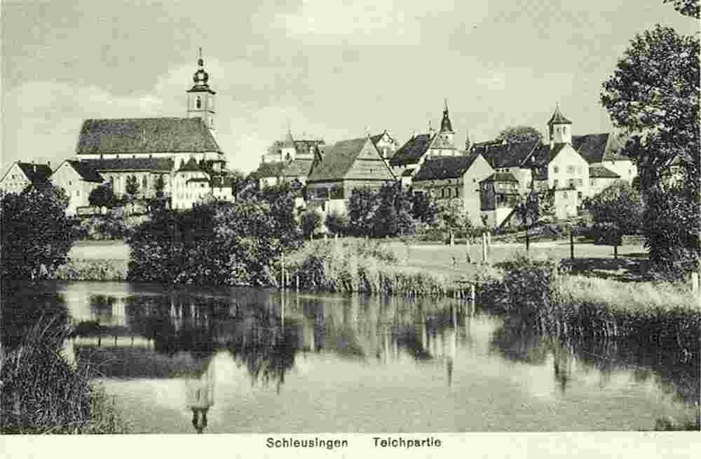 Schleusingen. Panorama der Stadt
