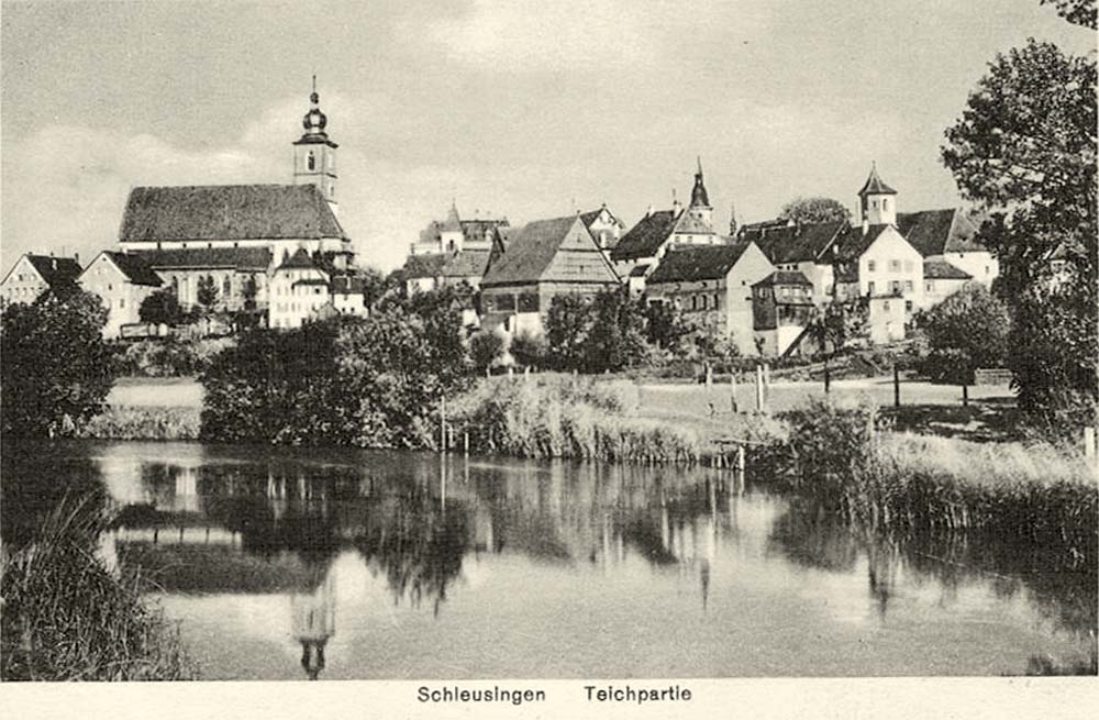 Schleusingen. Panorama der Stadt und Teich