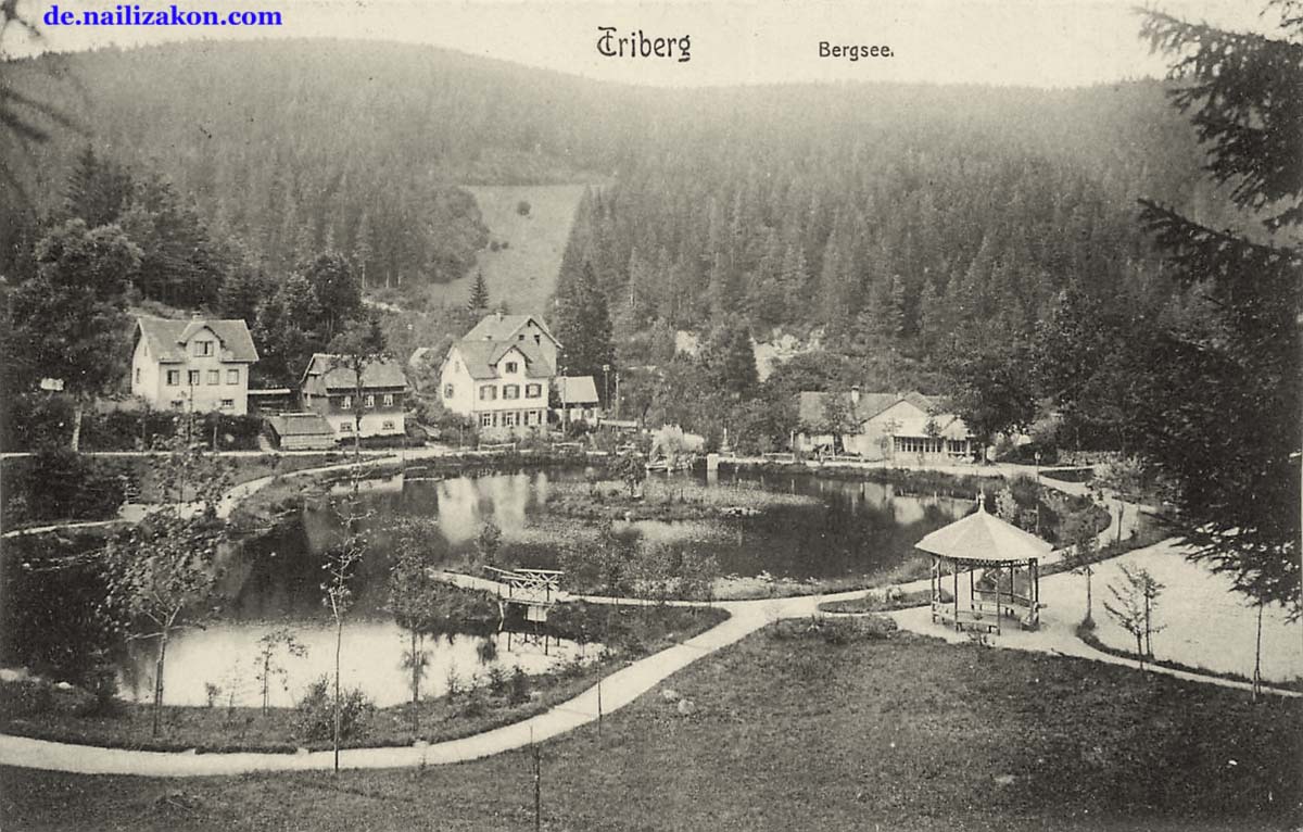 Triberg im Schwarzwald. Bergsee