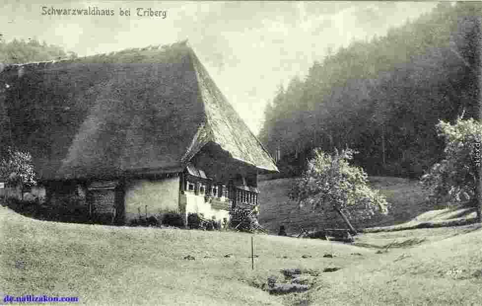 Triberg. Schwarzwaldhaus, 1913