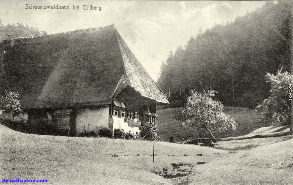 Triberg im Schwarzwald. Schwarzwaldhaus, 1913