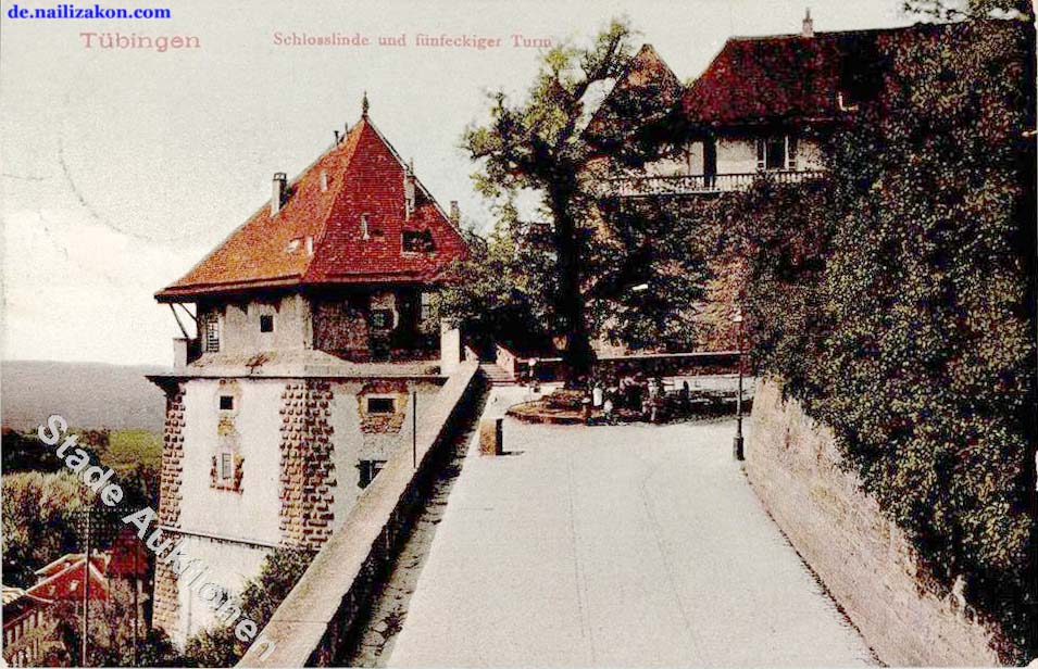 Tübingen. Schloßlinde und fünfeckiger Turm