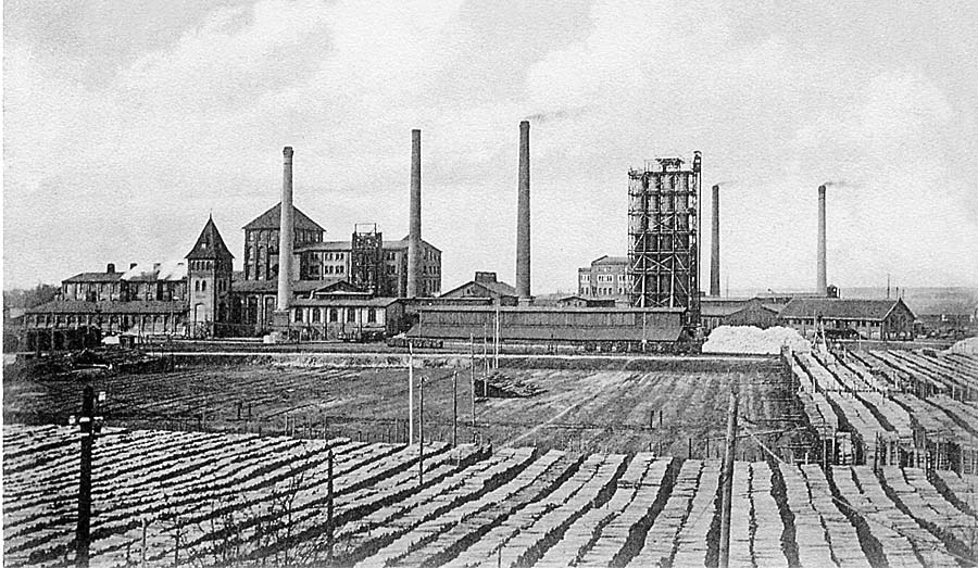 Tilsit (Sowetsk). Wald-Chemiefabrik