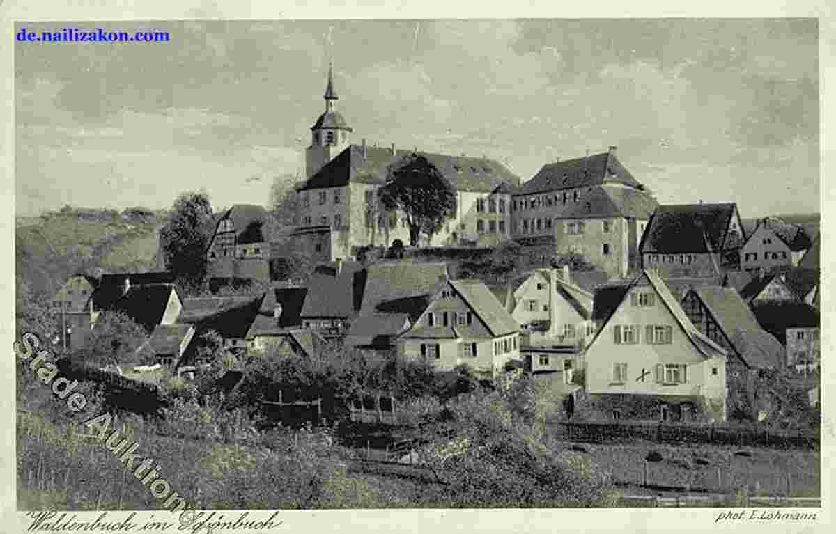Waldenbuch. Panorama von Schloß