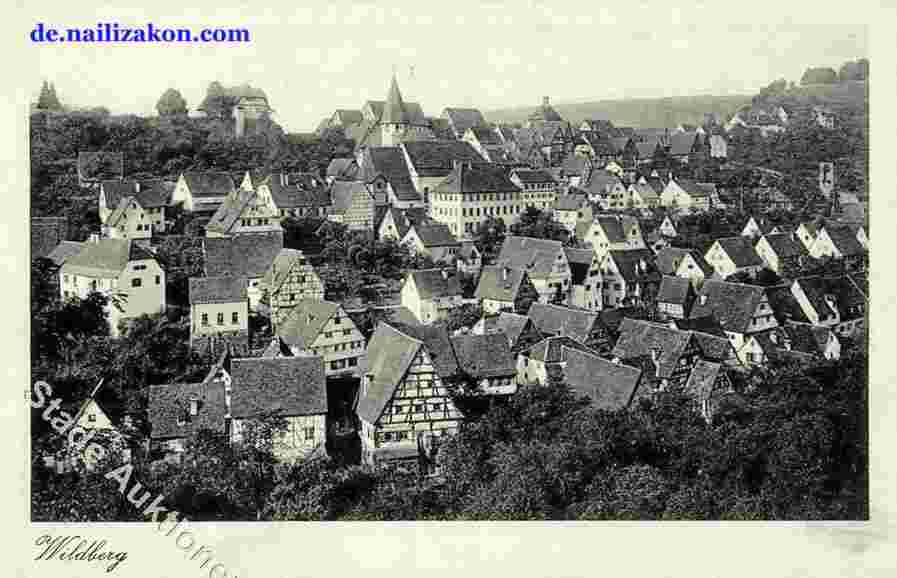 Wildberg. Panorama der Stadt