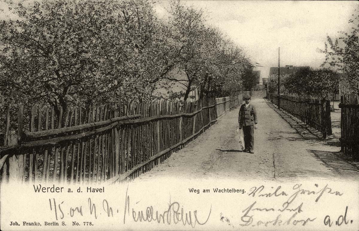 Werder (Havel). Weg am Wachtelberg, 1904