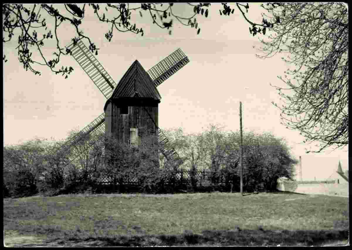 Werder. Windmühle