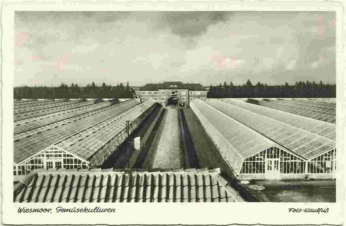 Wiesmoor. Gemüsekulturen Treibhäuser, 1940